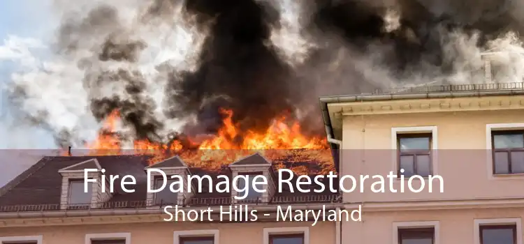 Fire Damage Restoration Short Hills - Maryland