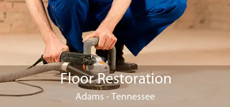 Floor Restoration Adams - Tennessee