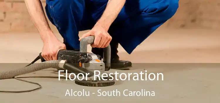 Floor Restoration Alcolu - South Carolina