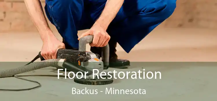 Floor Restoration Backus - Minnesota