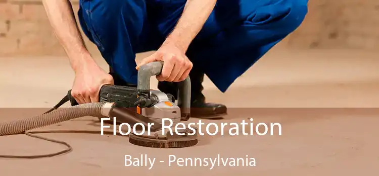 Floor Restoration Bally - Pennsylvania