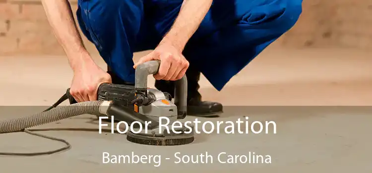 Floor Restoration Bamberg - South Carolina