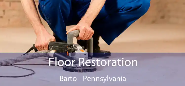 Floor Restoration Barto - Pennsylvania