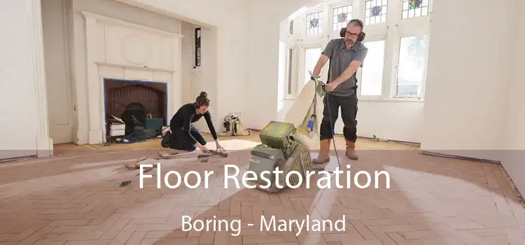 Floor Restoration Boring - Maryland