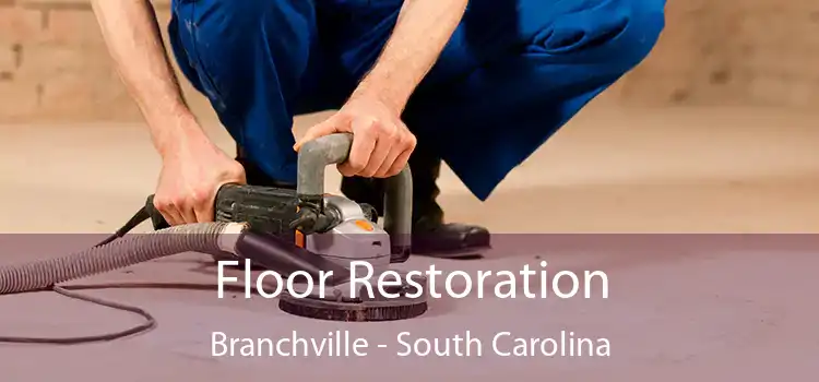 Floor Restoration Branchville - South Carolina