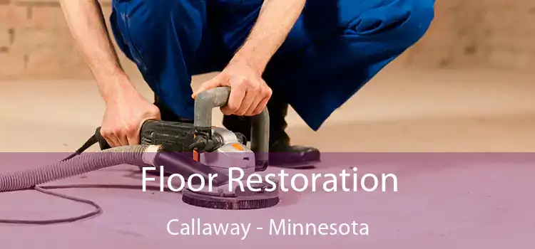 Floor Restoration Callaway - Minnesota