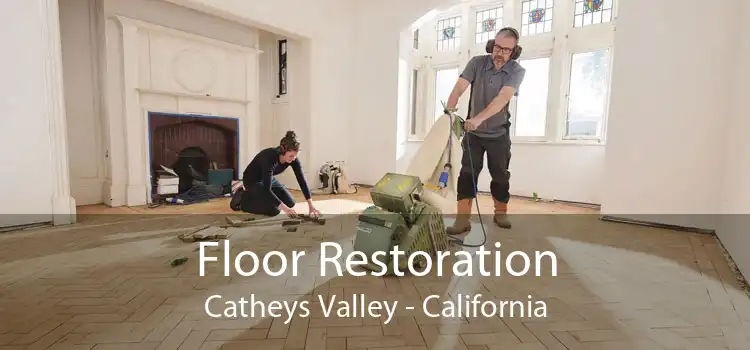 Floor Restoration Catheys Valley - California