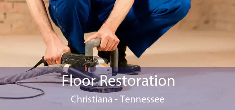 Floor Restoration Christiana - Tennessee