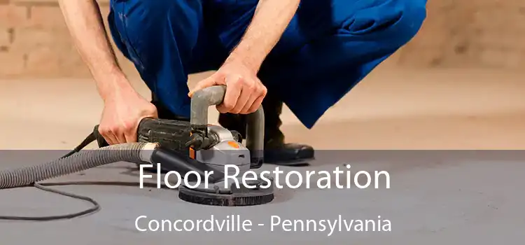 Floor Restoration Concordville - Pennsylvania