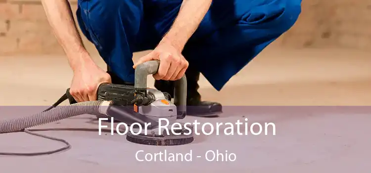 Floor Restoration Cortland - Ohio