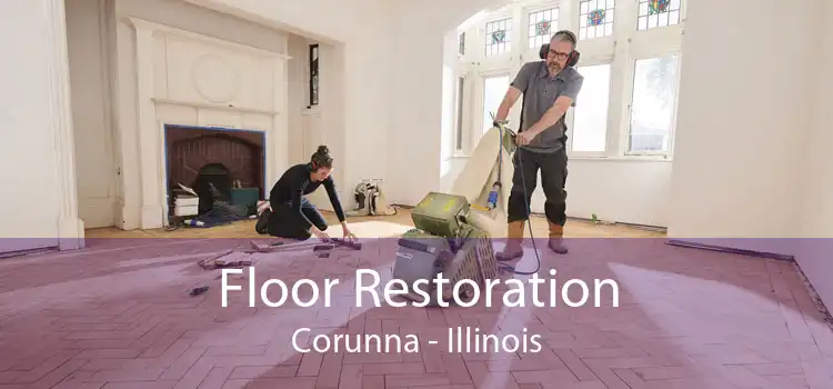 Floor Restoration Corunna - Illinois