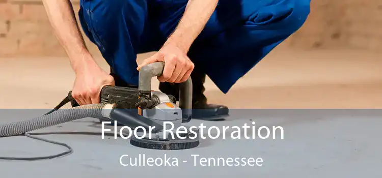 Floor Restoration Culleoka - Tennessee