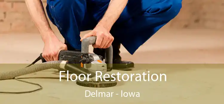 Floor Restoration Delmar - Iowa