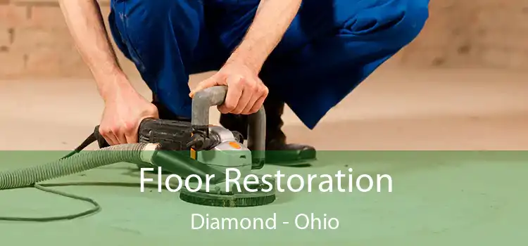 Floor Restoration Diamond - Ohio