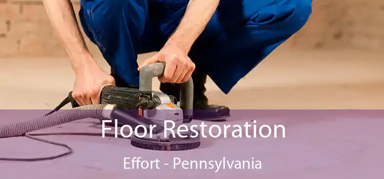 Floor Restoration Effort - Pennsylvania