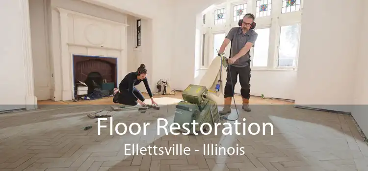 Floor Restoration Ellettsville - Illinois