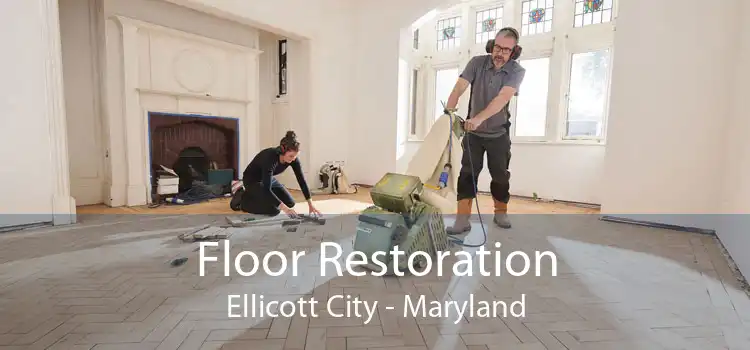 Floor Restoration Ellicott City - Maryland