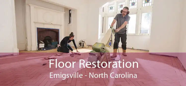 Floor Restoration Emigsville - North Carolina