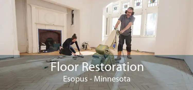 Floor Restoration Esopus - Minnesota