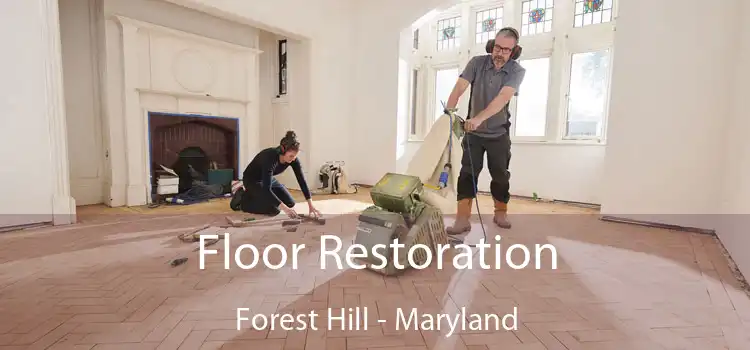 Floor Restoration Forest Hill - Maryland