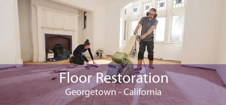 Floor Restoration Georgetown - California