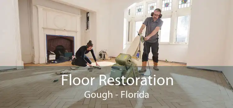 Floor Restoration Gough - Florida