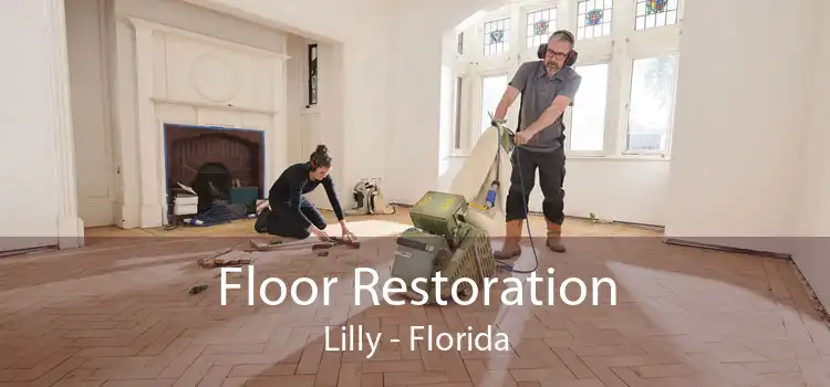 Floor Restoration Lilly - Florida