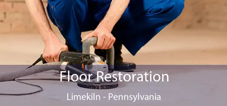 Floor Restoration Limekiln - Pennsylvania