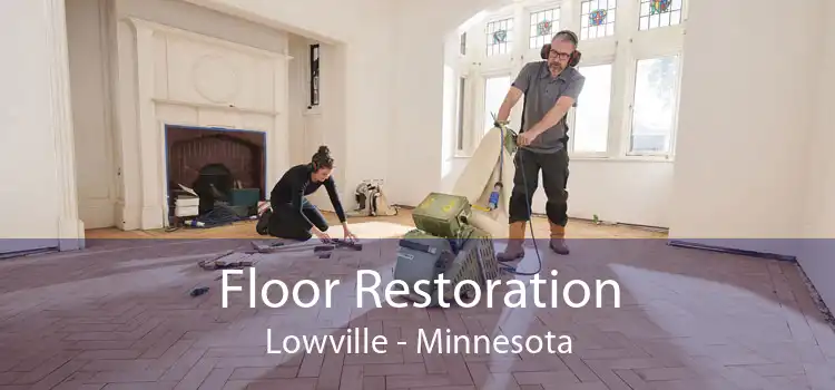 Floor Restoration Lowville - Minnesota