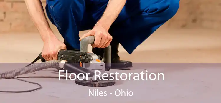 Floor Restoration Niles - Ohio