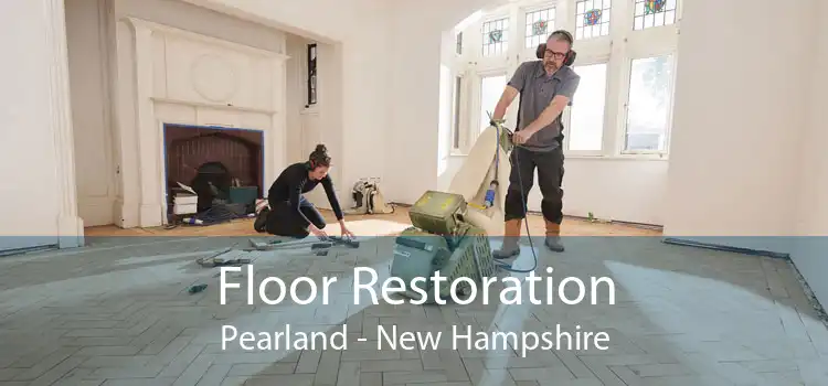 Floor Restoration Pearland - New Hampshire