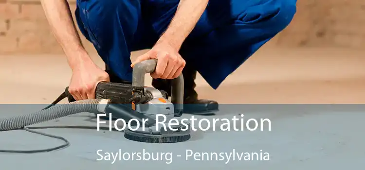 Floor Restoration Saylorsburg - Pennsylvania