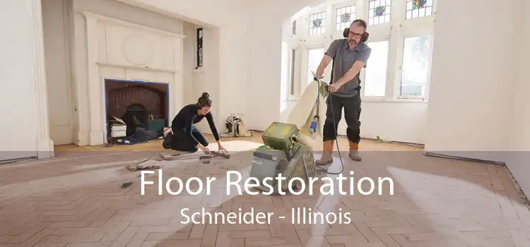 Floor Restoration Schneider - Illinois