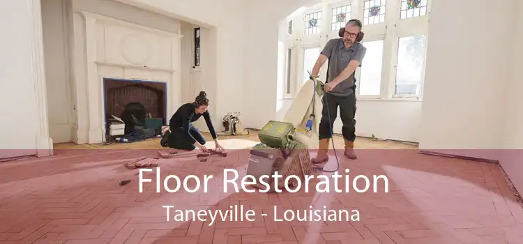 Floor Restoration Taneyville - Louisiana