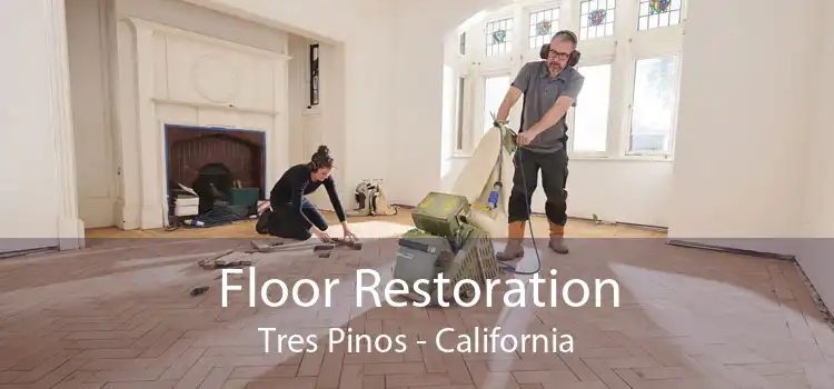 Floor Restoration Tres Pinos - California