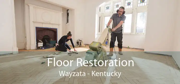 Floor Restoration Wayzata - Kentucky
