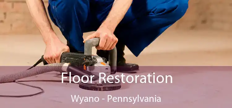 Floor Restoration Wyano - Pennsylvania