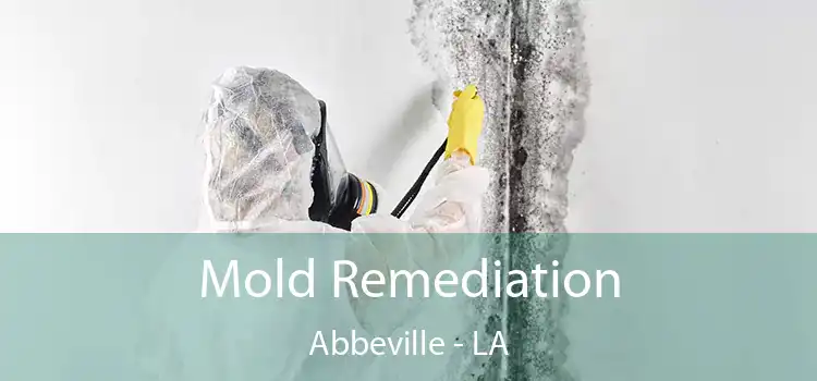 Mold Remediation Abbeville - LA