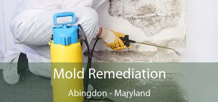 Mold Remediation Abingdon - Maryland