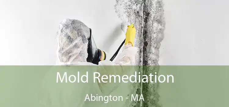 Mold Remediation Abington - MA