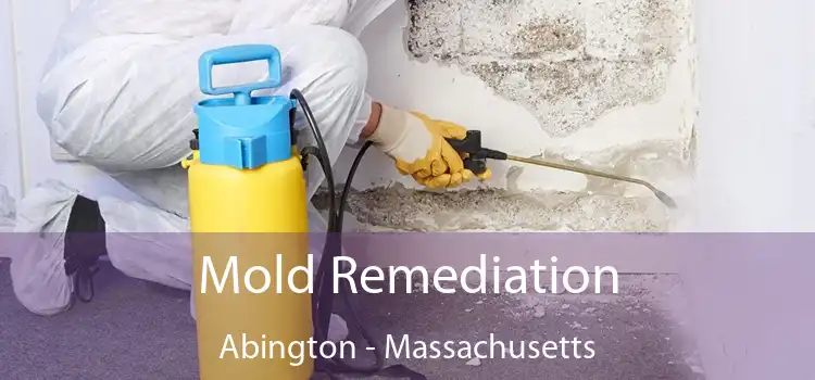 Mold Remediation Abington - Massachusetts