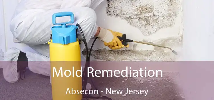 Mold Remediation Absecon - New Jersey