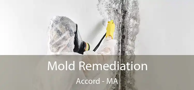 Mold Remediation Accord - MA