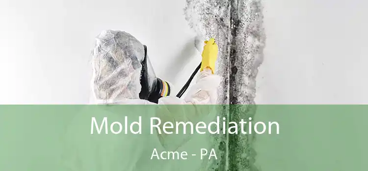 Mold Remediation Acme - PA