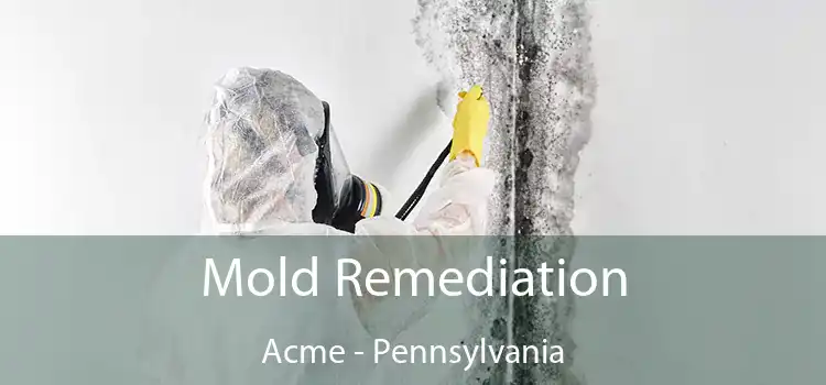 Mold Remediation Acme - Pennsylvania