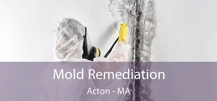 Mold Remediation Acton - MA