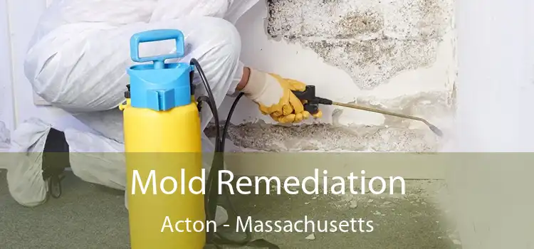 Mold Remediation Acton - Massachusetts