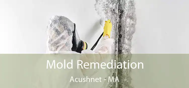 Mold Remediation Acushnet - MA