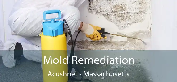 Mold Remediation Acushnet - Massachusetts