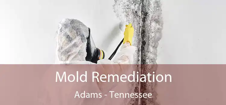 Mold Remediation Adams - Tennessee